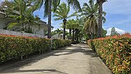 The alley towards the property