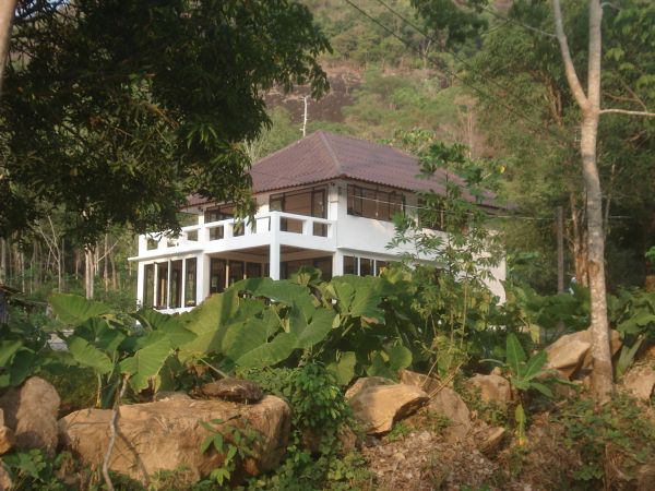 Dream House