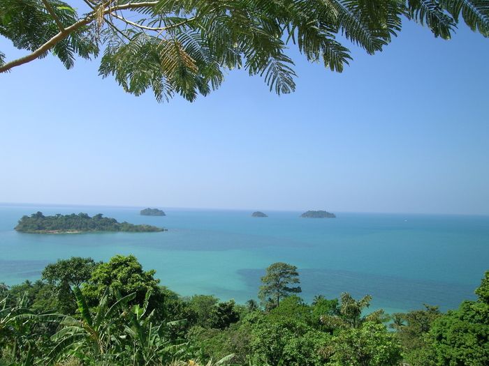 Tropical Beach