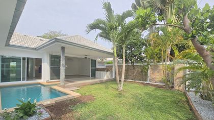 A look across the garden