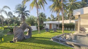 A tropical paradise A tropical paradise