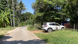 A good tarred road leads to the property A good tarred road leads to the property