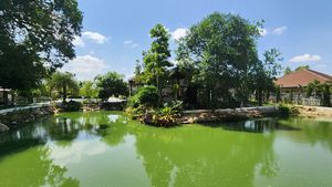 A huge ventilated Koi pond