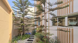 A little stretch of garden