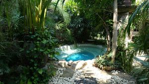 A lovely plunge pool in a jungle atmosphere