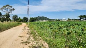 Across the land towards West, the main road and temples