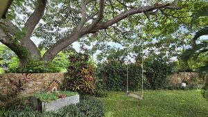 Beautiful trees and lush greenery
