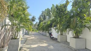 Coming to the property