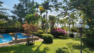 Gorgeous tropical gardens