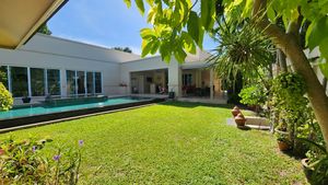 Greenery and the outdoor shower