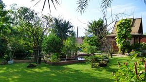 Juicy gardens, ponds and the Sala