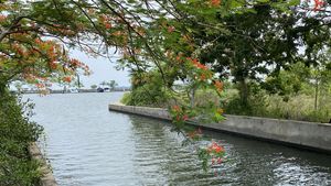 Lush waterways