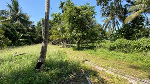 Opposite the sea, greenery and hills Opposite the sea, greenery and hills