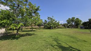 Plenty of juicy green for outdoor games