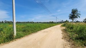 Public road and electricity all along the land - towards the East