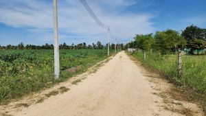 Public road and electricity all along the land - towards the North