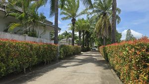 The alley towards the property
