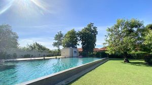 The communal pool