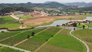 The local vineyard and high-end housing is there as well