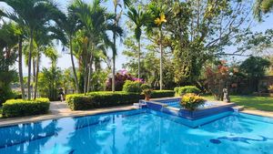The lovely pool with the Jacuzzi area