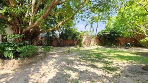 The lush garden-area, currently a bit dry