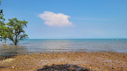 The plot offers about 76 meter sea front