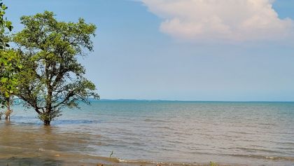 The plot offers over 175-meter sea front
