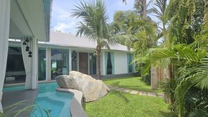 Tropical greenery Tropical greenery