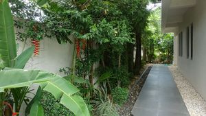 Walkways and greenery around the house
