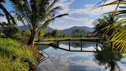What a gorgeous view